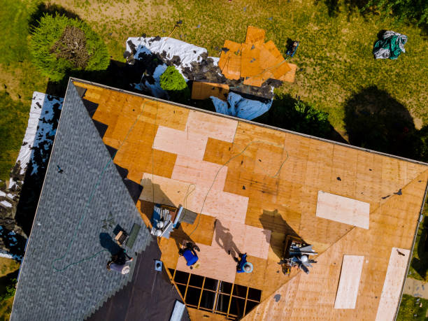 Roof Gutter Cleaning in Oracle, AZ