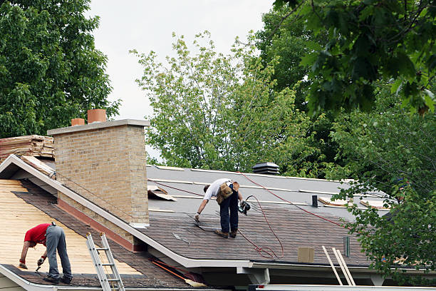 Best Roof Gutter Cleaning  in Oracle, AZ